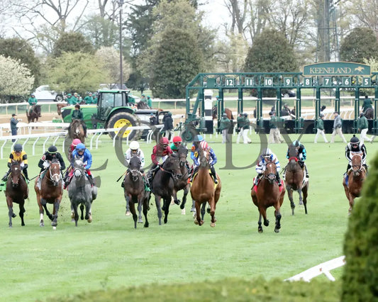 Neat - Transylvania Stakes 04 - 05 - 24 R08 Kee Inside First Pass 01 Keeneland