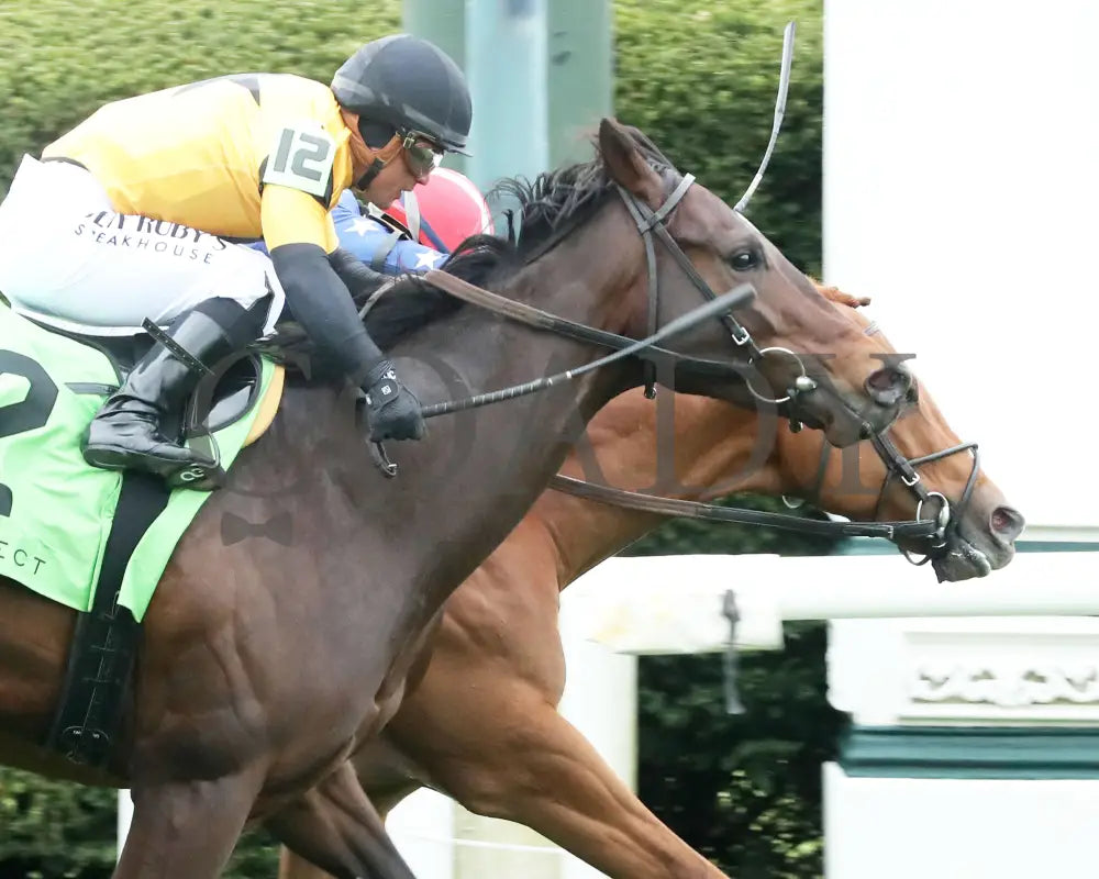 Neat - Transylvania Stakes 04 - 05 - 24 R08 Kee Tight Finish 01 Keeneland