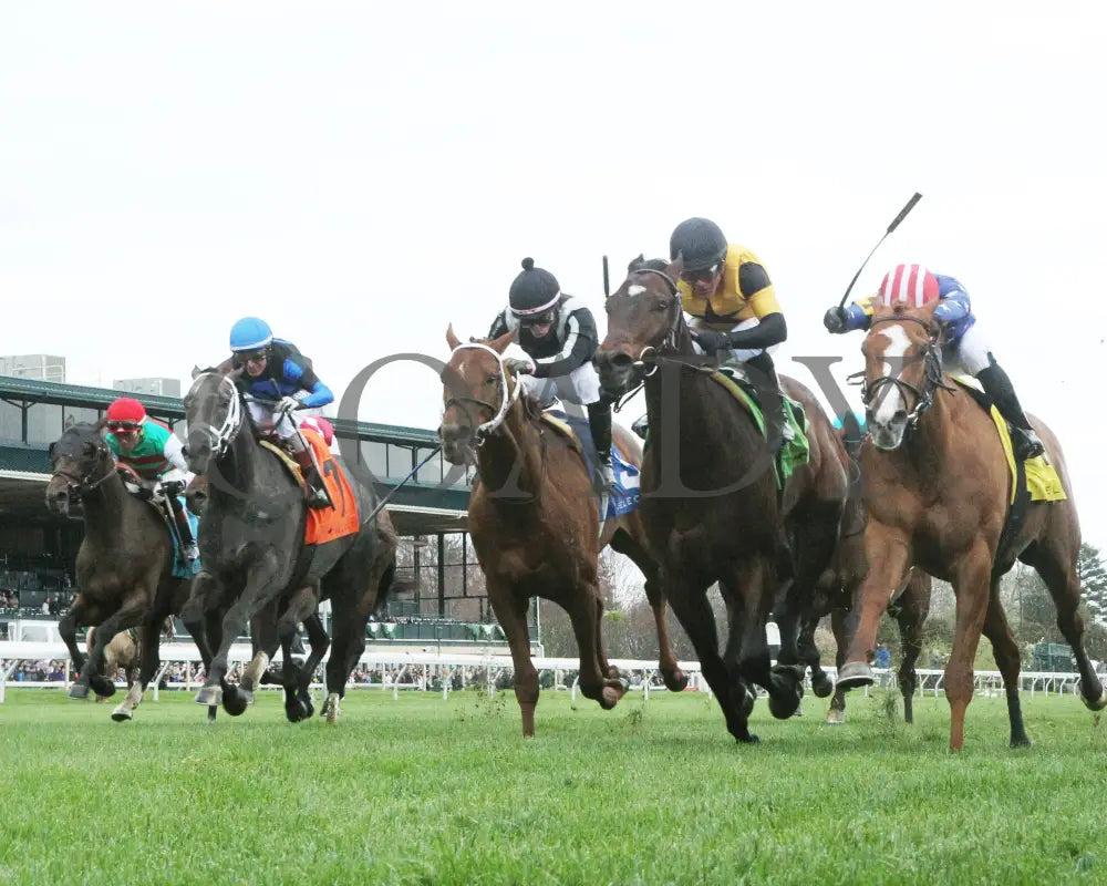 Neat - Transylvania Stakes 04 - 05 - 24 R08 Kee Under Rail 01 Keeneland