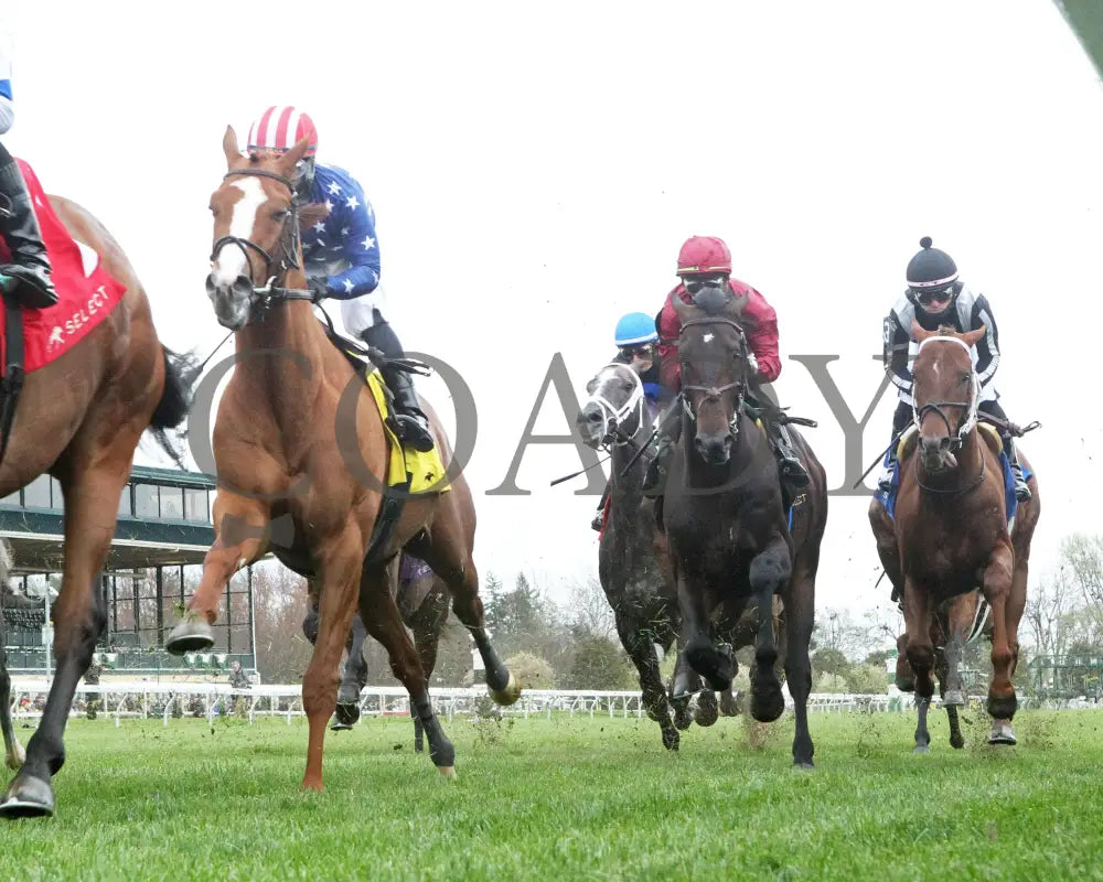 Neat - Transylvania Stakes 04 - 05 - 24 R08 Kee Under Rail First Pass 01 Keeneland