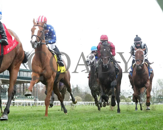 Neat - Transylvania Stakes 04 - 05 - 24 R08 Kee Under Rail First Pass 01 Keeneland