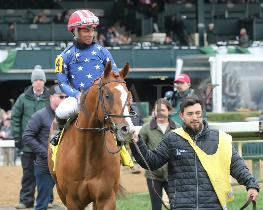 Neat - Transylvania Stakes 04 - 05 - 24 R08 Kee Walk In 01 Keeneland