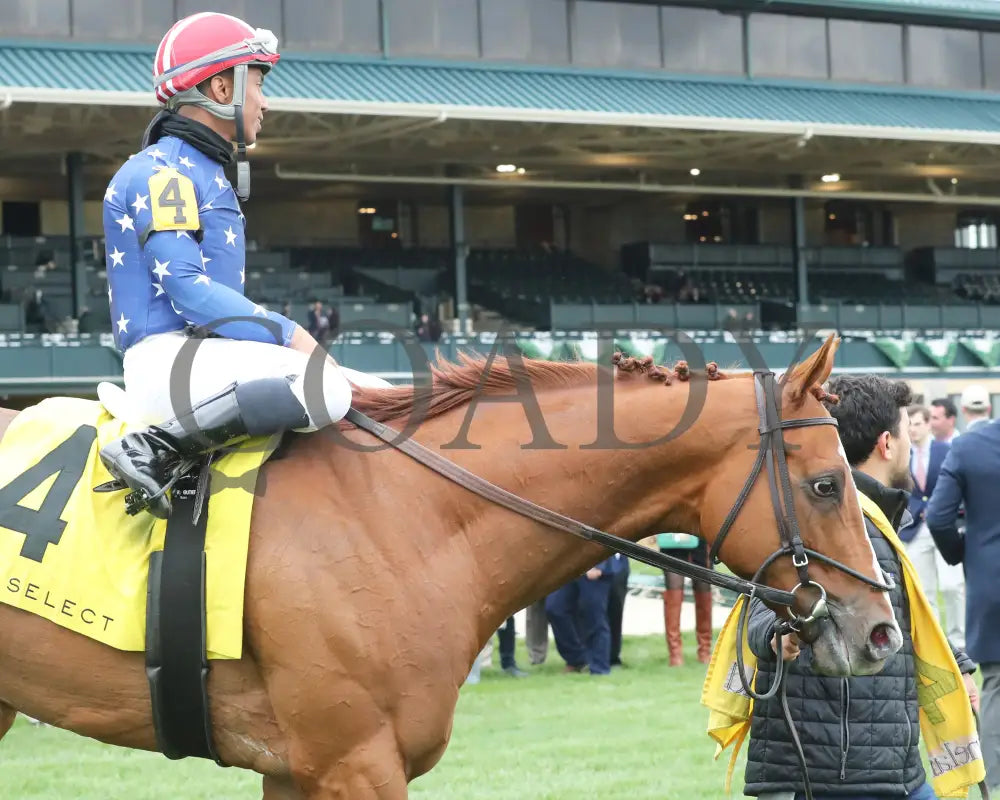 Neat - Transylvania Stakes 04 - 05 - 24 R08 Kee Walk In 02 Keeneland