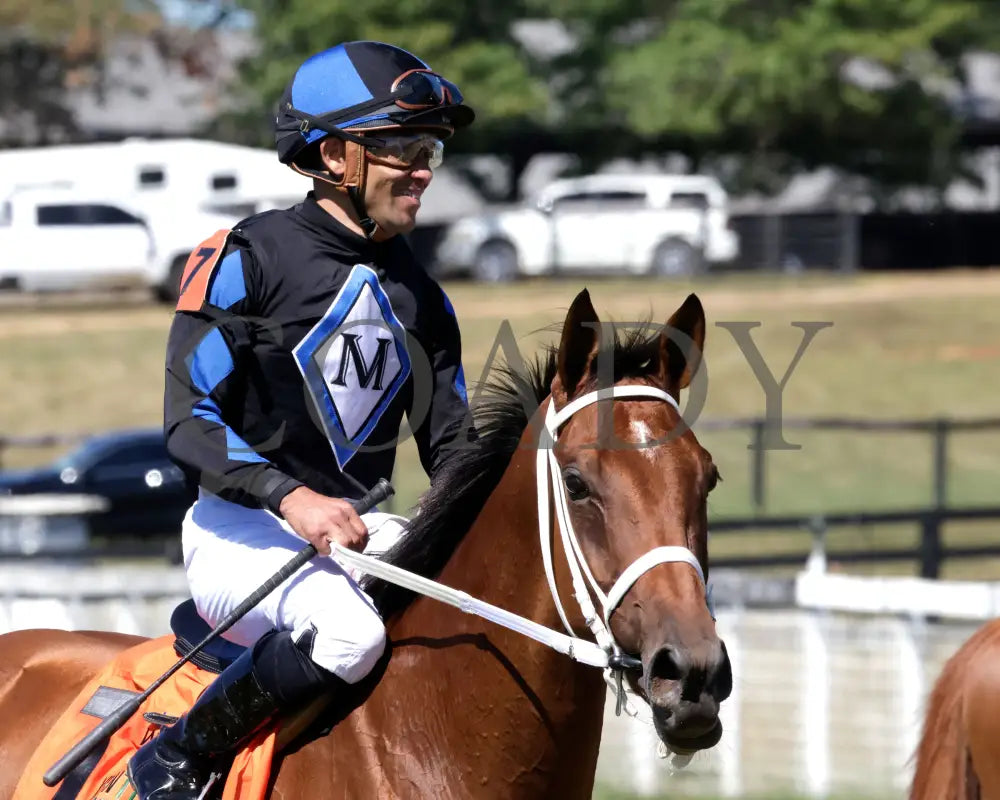 Neecie Marie - The Light & Wonder Ladies Marathon G3 09-07-24 R06 Kd Come Back 01 Kentucky Downs