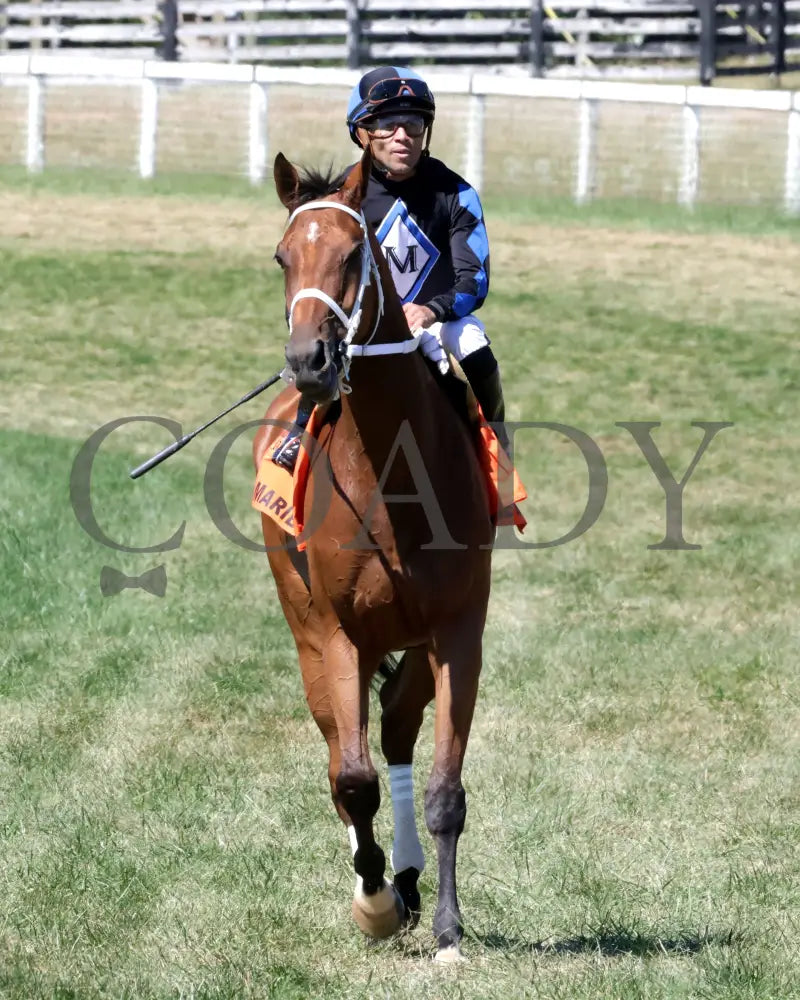 Neecie Marie - The Light & Wonder Ladies Marathon G3 09-07-24 R06 Kd Come Back 02 Kentucky Downs