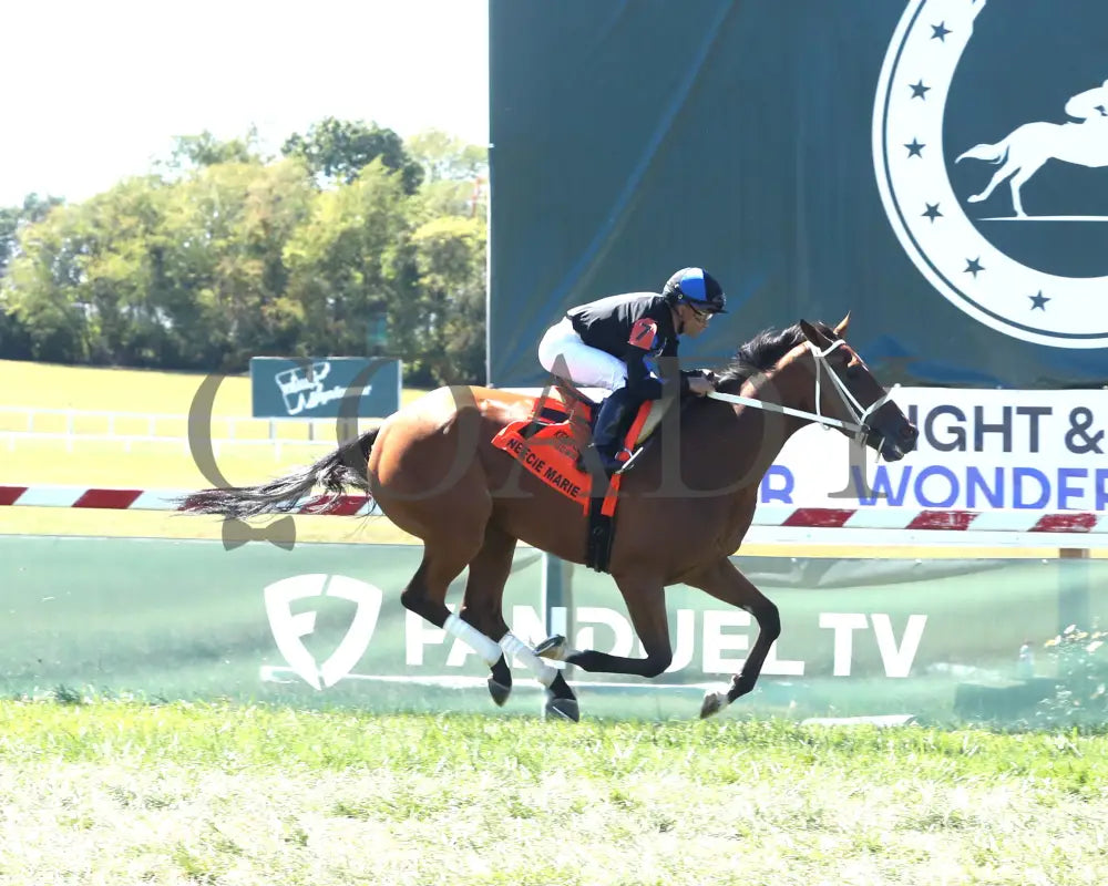 Neecie Marie - The Light & Wonder Ladies Marathon G3 09-07-24 R06 Kd Finish 01 Kentucky Downs