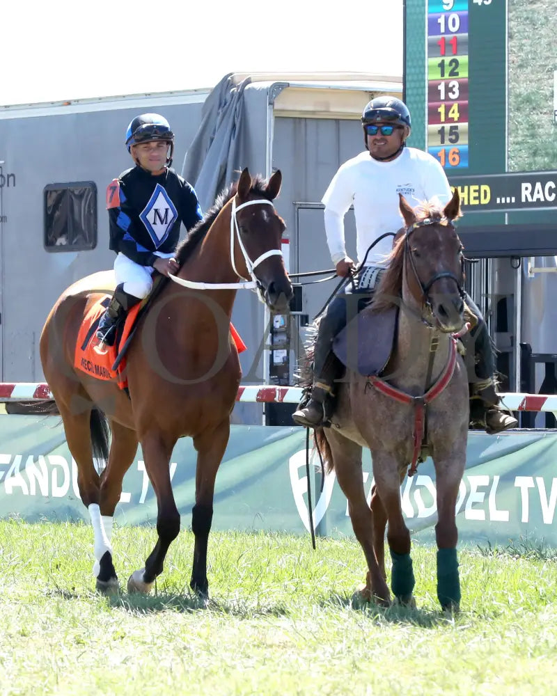 Neecie Marie - The Light & Wonder Ladies Marathon G3 09-07-24 R06 Kd Post Parade 01 Kentucky Downs