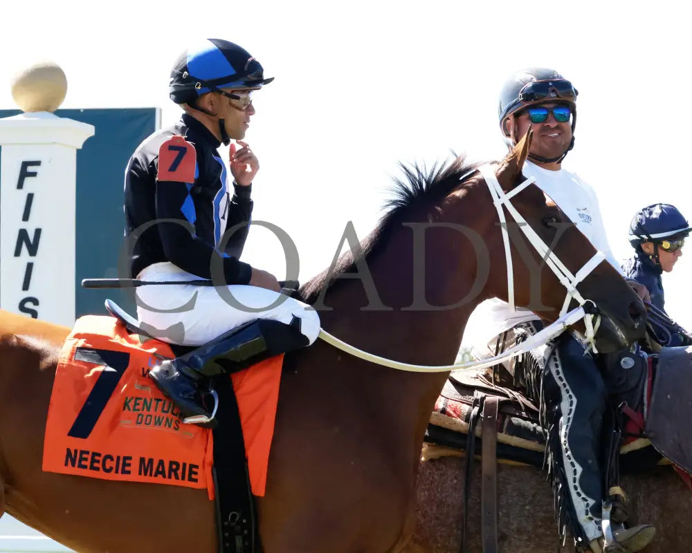 Neecie Marie - The Light & Wonder Ladies Marathon G3 09-07-24 R06 Kd Post Parade 02 Kentucky Downs