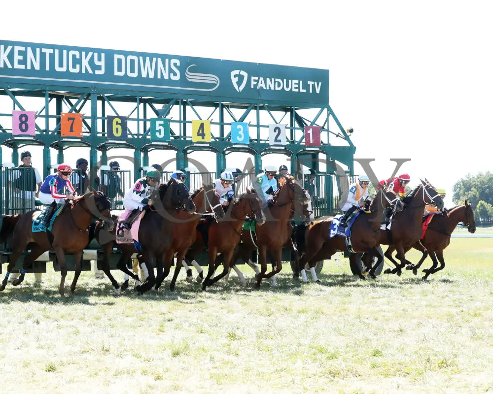 Neecie Marie - The Light & Wonder Ladies Marathon G3 09-07-24 R06 Kd Start 02 Kentucky Downs