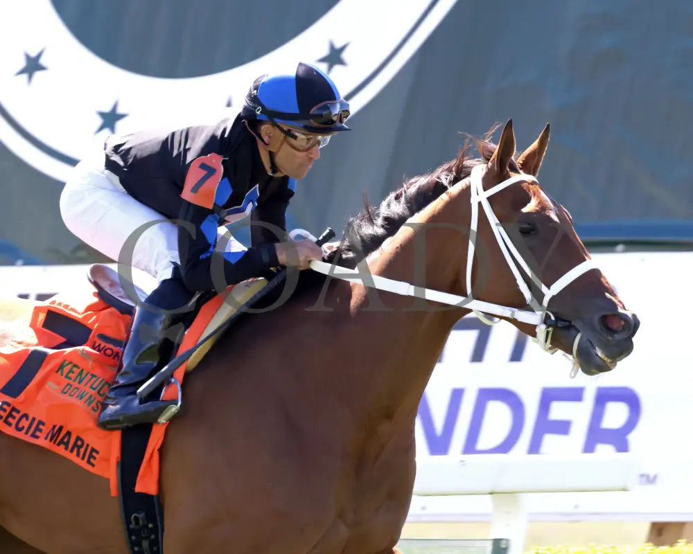 Neecie Marie - The Light & Wonder Ladies Marathon G3 09-07-24 R06 Kd Tight Finish 01 Kentucky Downs