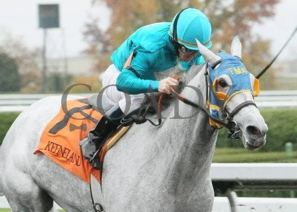 Need To Believe - 2 102711 Race 01 Keeneland