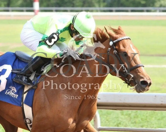 Needmore Flattery - 051814 Race 07 Btp Fin2 Belterra Park