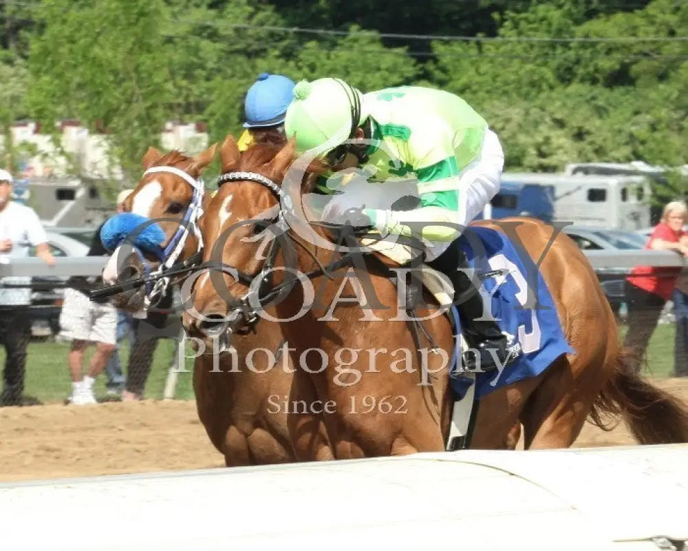 Needmore Flattery - 051814 Race 07 Btp Insid Belterra Park