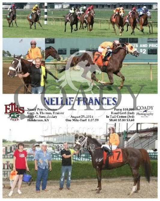 Nellie Frances - 082914 Race 08 Elp Ellis Park