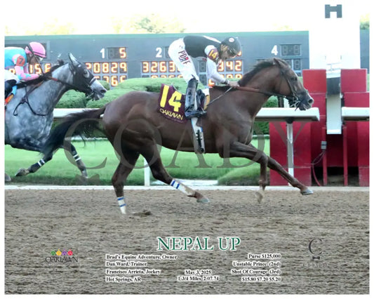 NEPAL UP - 05-03-25 - R12 - OP - A Oaklawn Park