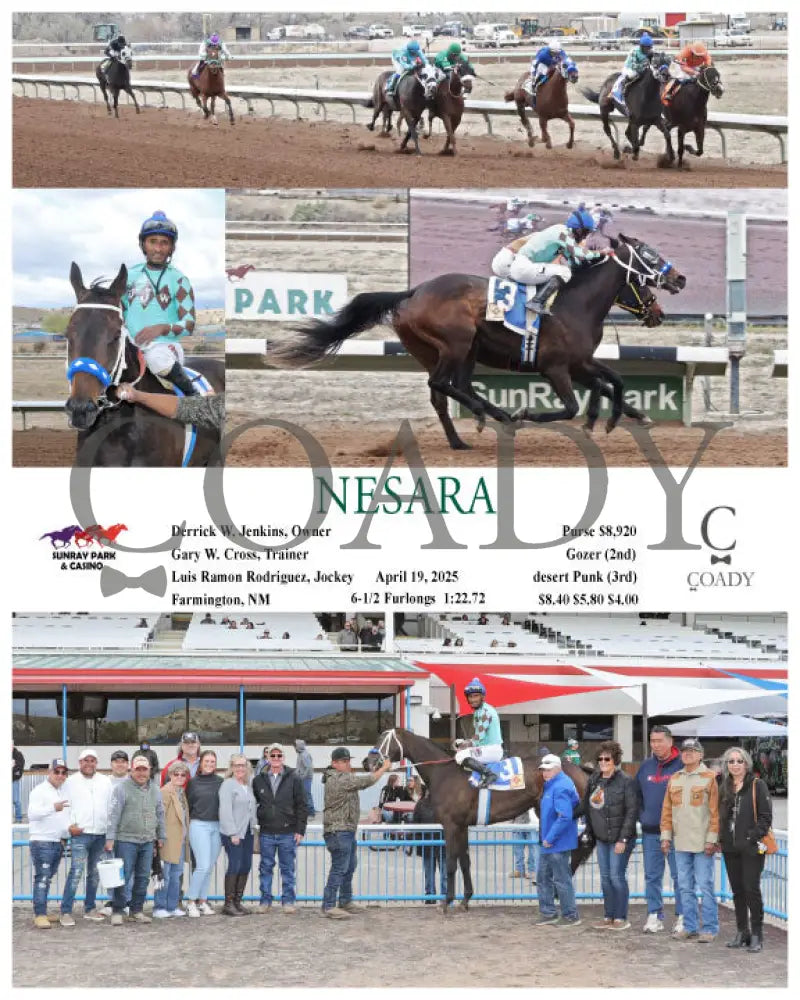 NESARA - 04-19-25 - R06 - SRP SunRay Park