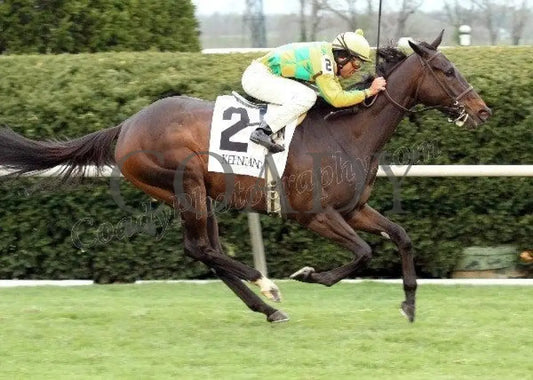 Never Retreat - Finish The Jenny Wiley Gr Ii 2 Keeneland