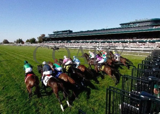 Never Retreat - Gate 100811 Race 07 Keeneland