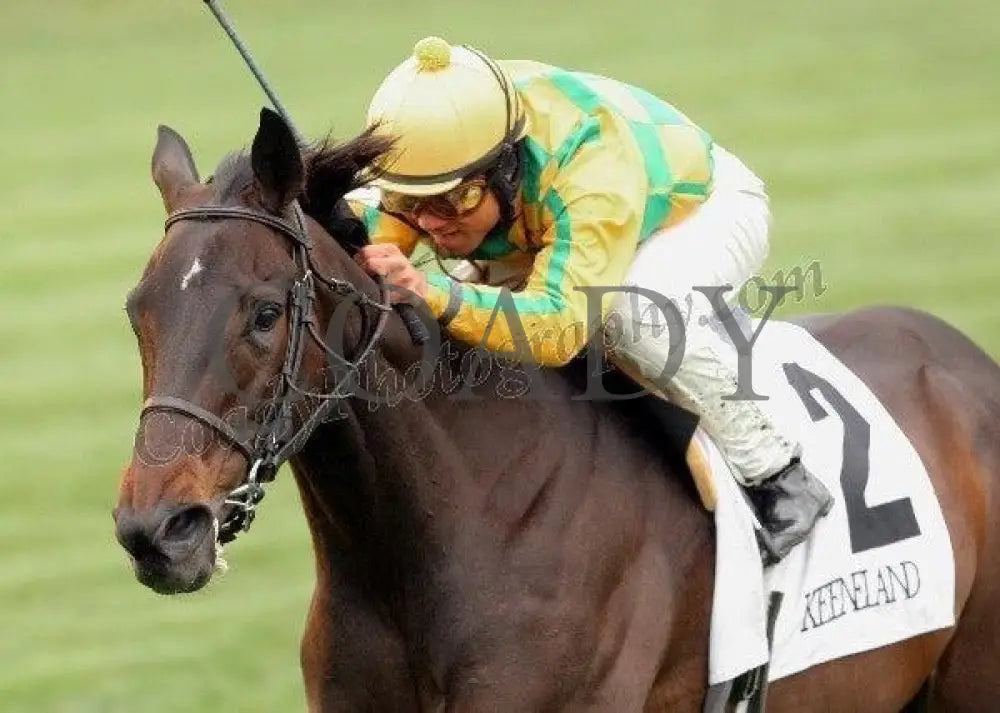 Never Retreat - Inside Finish The Jenny Wiley Gr Keeneland