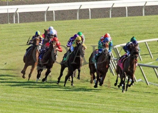 Never Retreat - Turn 1 100811 Race 07 Keeneland