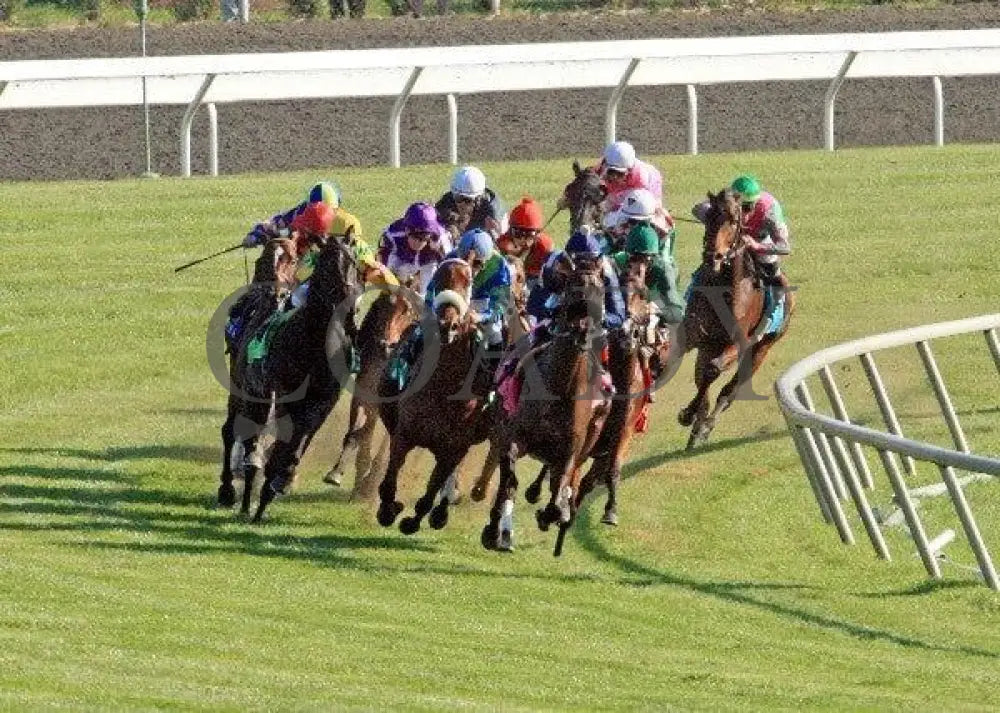 Never Retreat - Turn 2 100811 Race 07 Keeneland