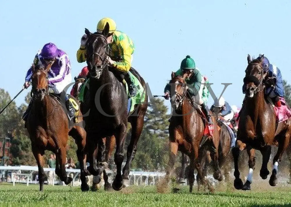 Never Retreat - Under Rail 100811 Race 07 Keeneland