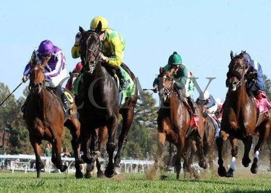 Never Retreat - Under Rail 100811 Race 07 Keeneland