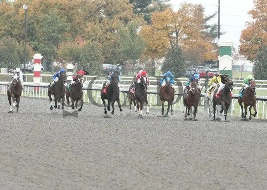 New Believer - 1 102811 Race 06 Keeneland
