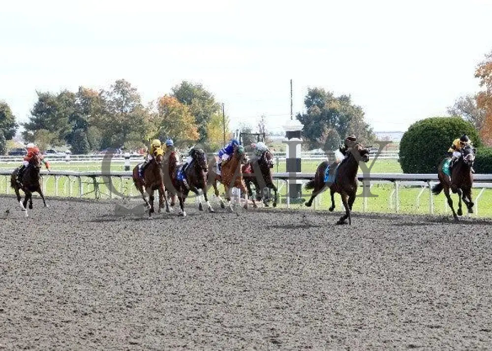 New Believer - 2 100911 Race 04 Keeneland
