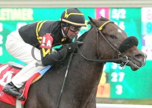 New Believer - 2 102811 Race 06 Keeneland