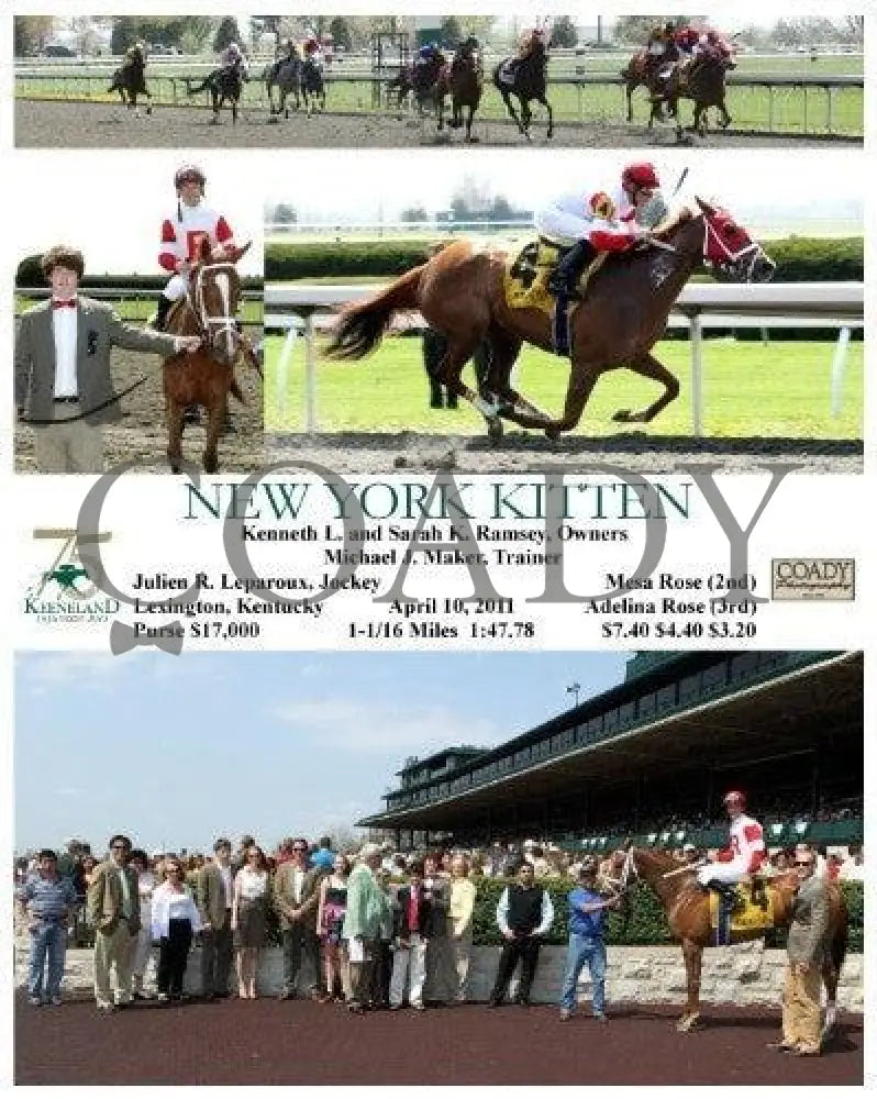 New York Kitten - 041011 Race 03 Keeneland