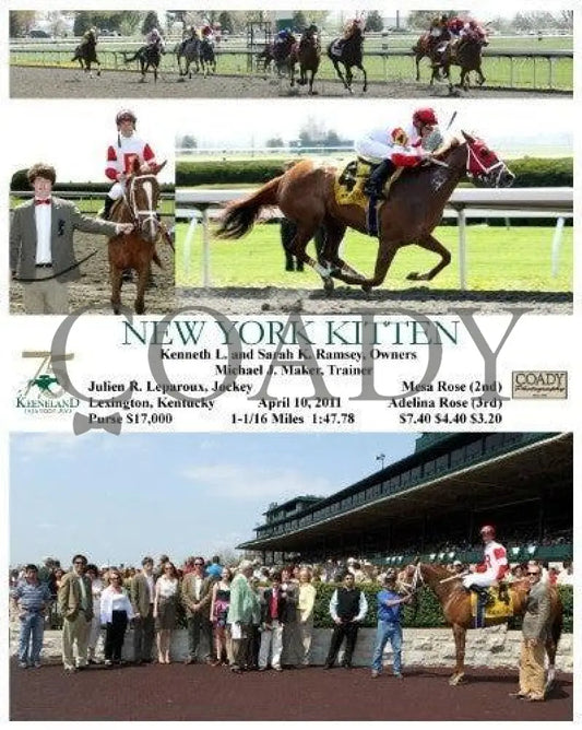 New York Kitten - 041011 Race 03 Keeneland