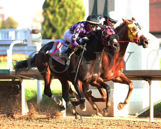 NEXT GIRL - The Glass Slipper - 11-15-25 - R07 - CD - Finish 02 - Coady Media - Kurtis Coady Photography