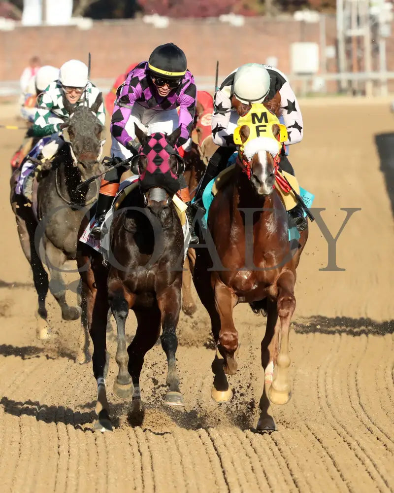NEXT GIRL - The Glass Slipper - 11-15-25 - R07 - CD - Gallop Out 01 - Coady Media - Kurtis Coady Photography