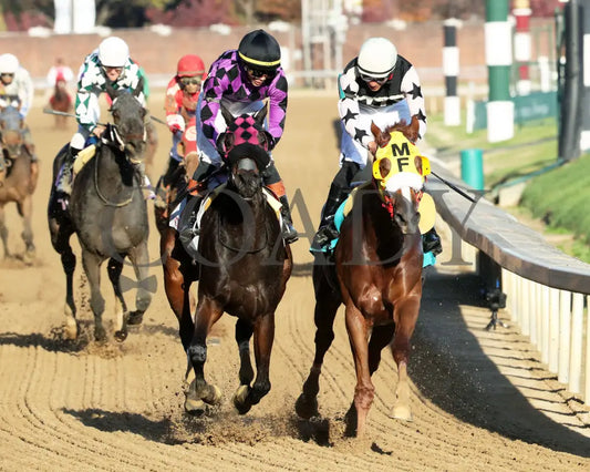 NEXT GIRL - The Glass Slipper - 11-15-25 - R07 - CD - Gallop Out 03 - Coady Media - Kurtis Coady Photography