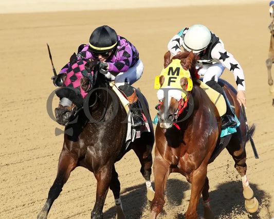 NEXT GIRL - The Glass Slipper - 11-15-25 - R07 - CD - Inside Finish 01 - Coady Media - Kurtis Coady Photography