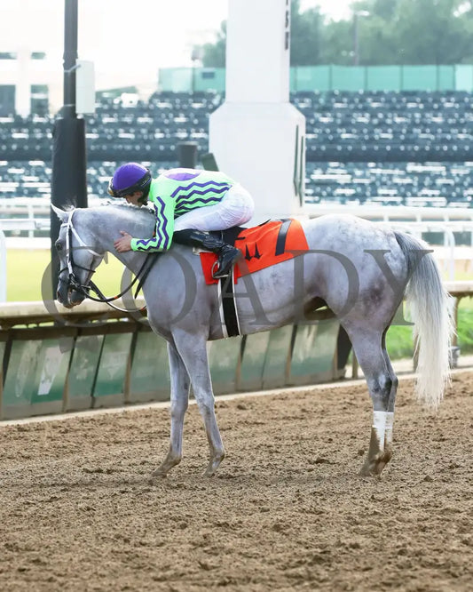 Next - The Isaac Murphy Marathon Overnight Stakes 05-01-24 R08 Cd Come Back 01 Churchill Downs