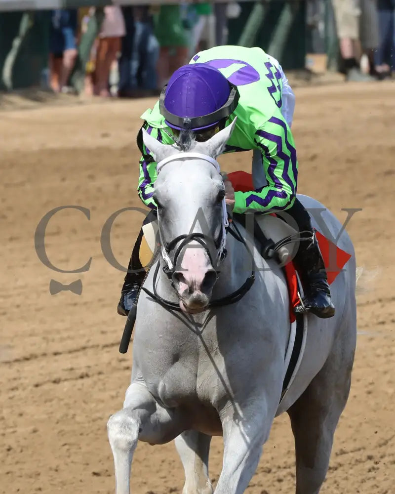 Next - The Isaac Murphy Marathon Overnight Stakes 05-01-24 R08 Cd Inside Finish 01 Churchill Downs