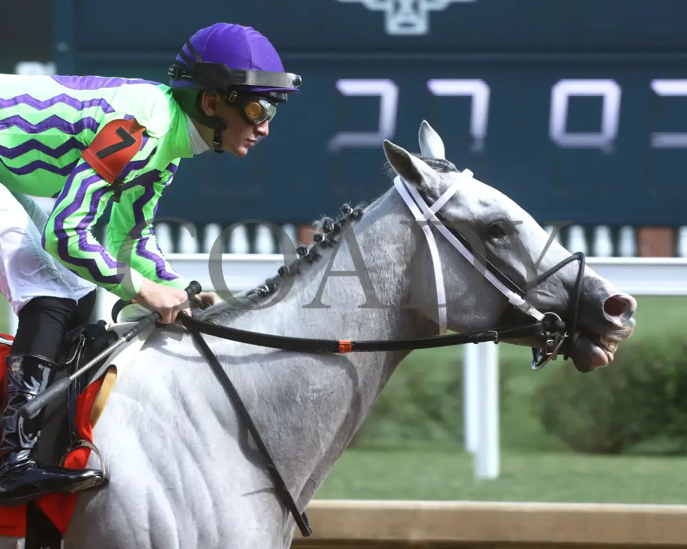 Next - The Isaac Murphy Marathon Overnight Stakes 05-01-24 R08 Cd Track Record 01 Churchill Downs