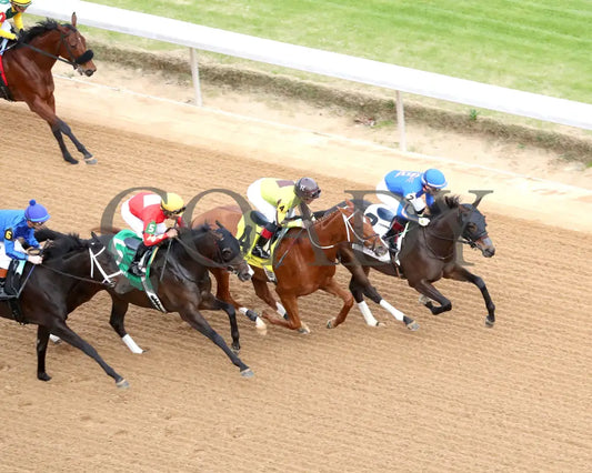 NEZAZURRI - Oaklawn Sports Overnight Stakes - 01-01-26 - R08 - OP - Aerial Finish 01 - Coady Media - Kurtis Coady Photography
