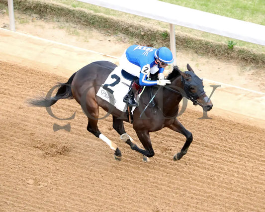 NEZAZURRI - Oaklawn Sports Overnight Stakes - 01-01-26 - R08 - OP - Aerial Finish 01 - Coady Media - Kurtis Coady Photography