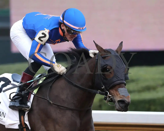 NEZAZURRI - Oaklawn Sports Overnight Stakes - 01-01-26 - R08 - OP - Celebration 01 - Coady Media - Kurtis Coady Photography