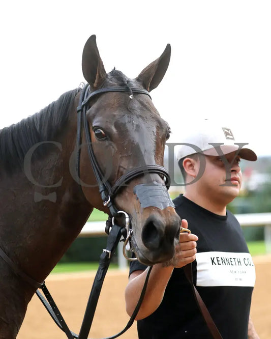 NEZAZURRI - Oaklawn Sports Overnight Stakes - 01-01-26 - R08 - OP - Come Back 01 - Coady Media - Kurtis Coady Photography