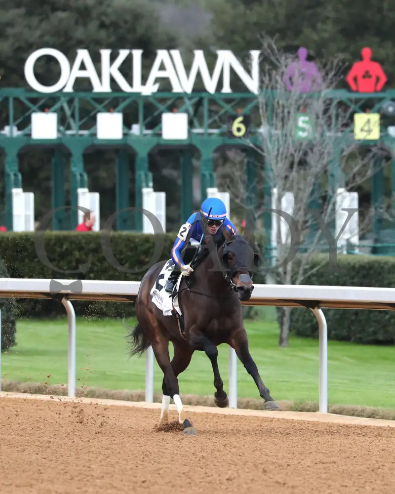 NEZAZURRI - Oaklawn Sports Overnight Stakes - 01-01-26 - R08 - OP - Finish 02 - Coady Media - Kurtis Coady Photography