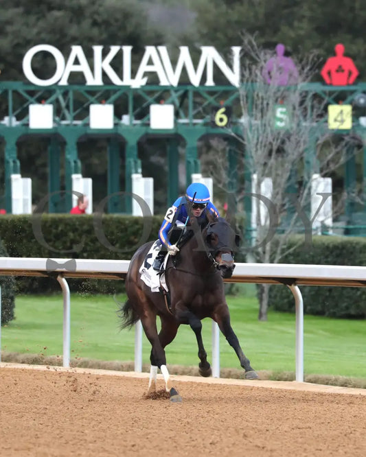 NEZAZURRI - Oaklawn Sports Overnight Stakes - 01-01-26 - R08 - OP - Finish 02 - Coady Media - Kurtis Coady Photography