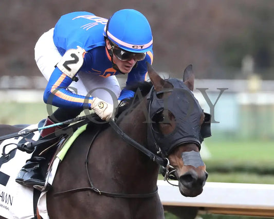 NEZAZURRI - Oaklawn Sports Overnight Stakes - 01-01-26 - R08 - OP - Finish 03 - Coady Media - Kurtis Coady Photography