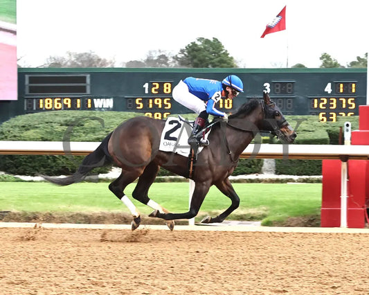 NEZAZURRI - Oaklawn Sports Overnight Stakes - 01-01-26 - R08 - OP - Finish 01 - Coady Media - Kurtis Coady Photography