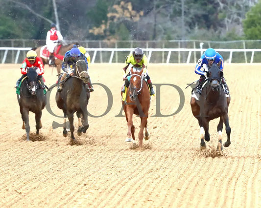 NEZAZURRI - Oaklawn Sports Overnight Stakes - 01-01-26 - R08 - OP - Head On 01 - Coady Media - Kurtis Coady Photography