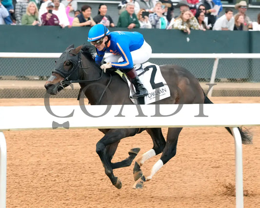 NEZAZURRI - Oaklawn Sports Overnight Stakes - 01-01-26 - R08 - OP - Inside Finish 01 - Coady Media - Kurtis Coady Photography
