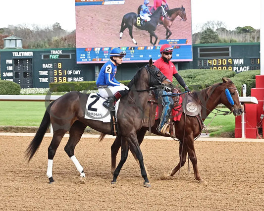 NEZAZURRI - Oaklawn Sports Overnight Stakes - 01-01-26 - R08 - OP - Post Parade 02 - Coady Media - Kurtis Coady Photography